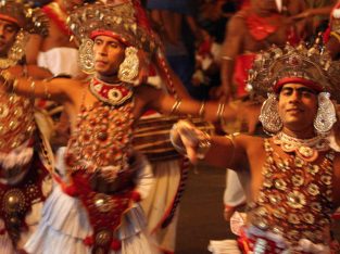 Best tour rate in Sri Lanka