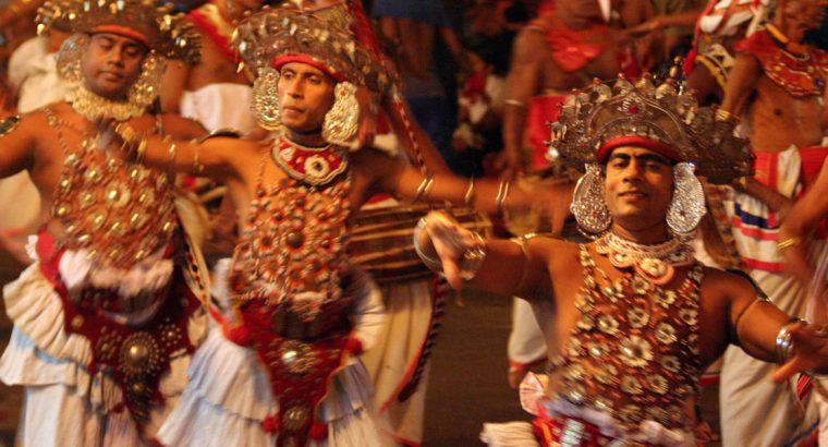 Best tour rate in Sri Lanka