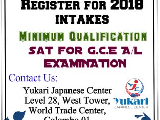 Learn & Earn in Japan