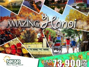 Amazing Hanoi