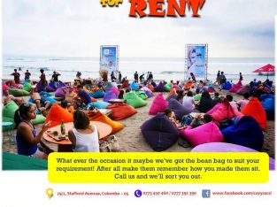 Bean Bags on rent