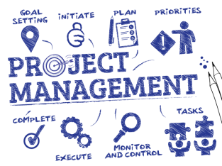 Project Management Professional