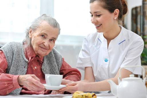 Professional Elderly care services