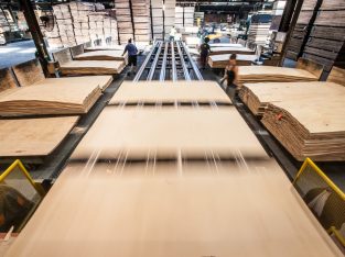 Plywood Factory Sale or Long Term Lease