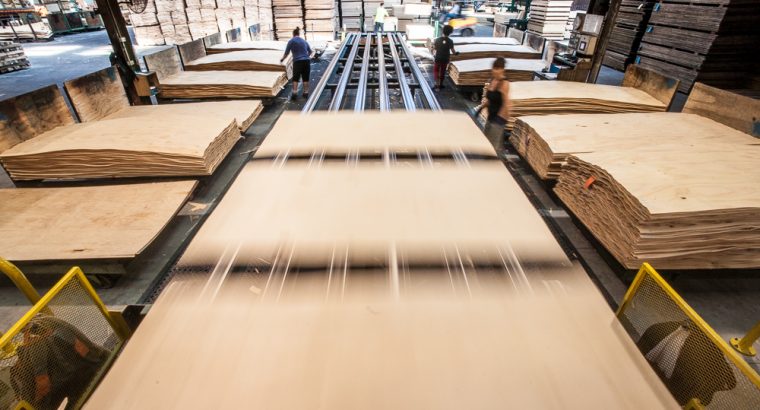 Plywood Factory Sale or Long Term Lease