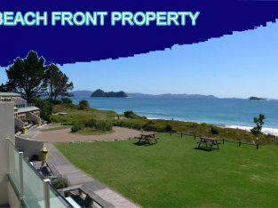 Beach Front Property