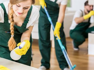 Professional Cleaning Services