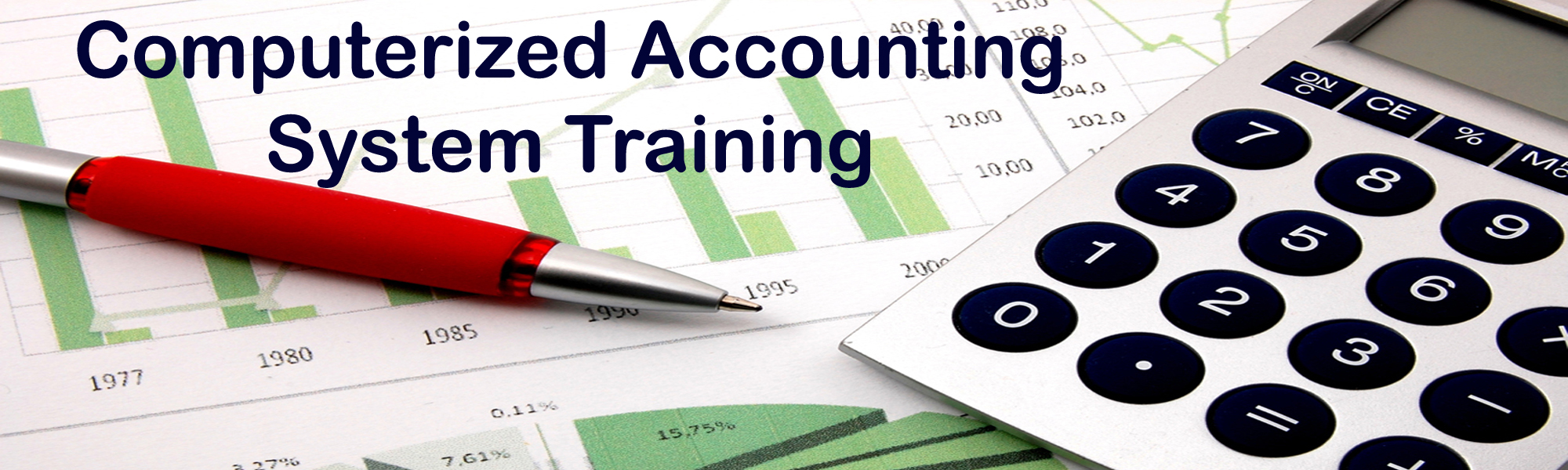 Computerized Accounting  Training