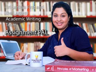 IT Assignment Writing