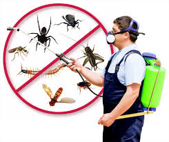 SML ECO Pest Control