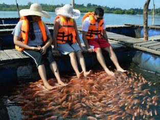 Tranquility Holiday Home