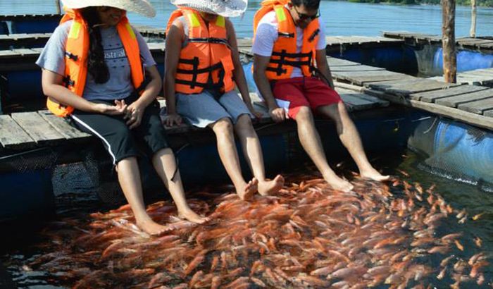 Tranquility Holiday Home