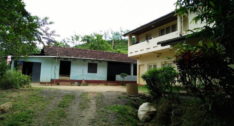 Tea estate with Bungalow in Morawaka for sale (13.4 acres)