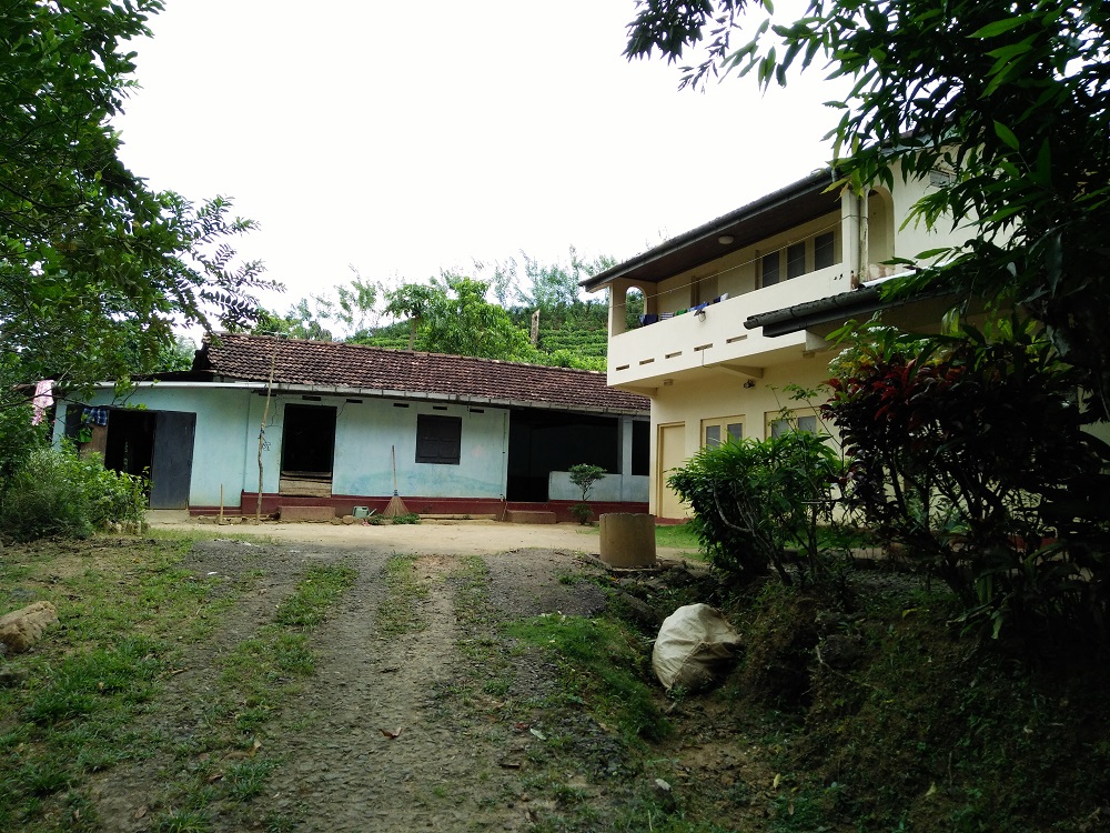 Tea estate with Bungalow in Morawaka for sale (13.4 acres)