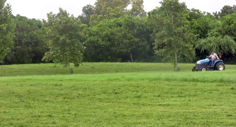 SAMSUDEEN RASHEED GARDEN SERVICE