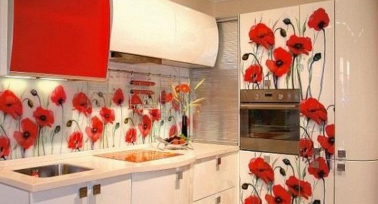 Design Classic Colorful Kitchen Pantry Cupboard in Srilanka