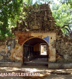 Naguleswaram temple