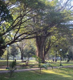 Viharamahadevi Park Colombo