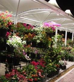 Waters Edge – Diyatha Uyana