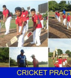 Wise International School – Sri Lanka