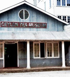 Ceylon Tea Museum