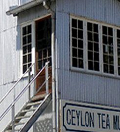 Ceylon Tea Museum