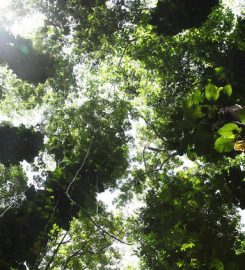 Udawatta Kele Sanctuary