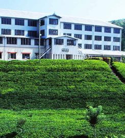Ceylon Tea Museum
