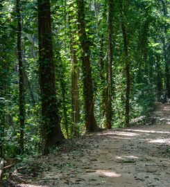 Udawatta Kele Sanctuary