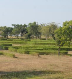 Dry Zone Botanical Garden