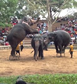 National Zoological Gardens of Sri Lanka