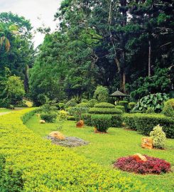 Gampaha Botanical Garden