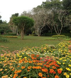 Gampaha Botanical Garden
