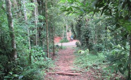 Land for sale in Kandy Vatihalagala