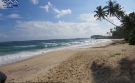 Amazing Beach In Down South