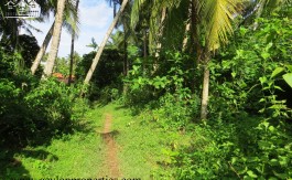 Amazing Beach In Down South