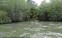Fascinating Lake Property in Koggala