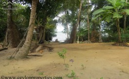 Fascinating Lake Property in Koggala