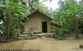 Fascinating Lake Property in Koggala