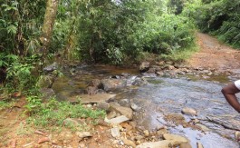 Rubber Estate – 345 Acres