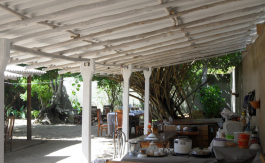 Hotel For sale at Midigama