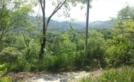 Beautiful Land in Kadugannawa