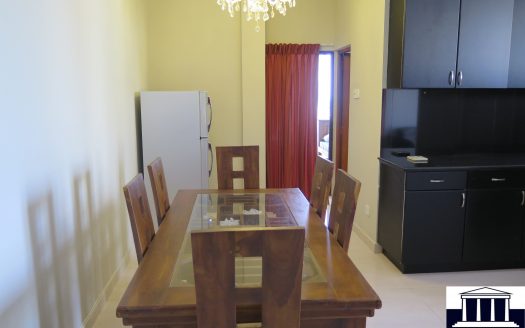 Ben and Nancy Towers Luxury Apartment For Rent