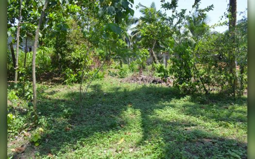 Land for sale at Wadduwa