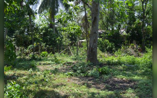 Land for sale at Wadduwa
