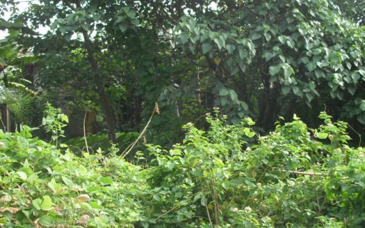 Land for sale at panadura