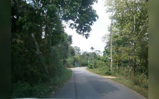 Land for sale at Panadura