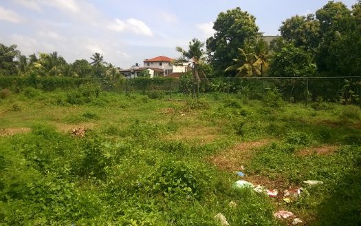 Land For Sale in Colombo 05