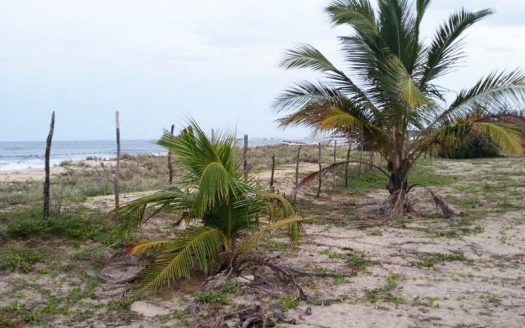 Land For Sale In Arugam Bay