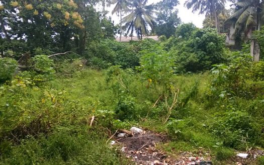 Bare Land for sale at Maharagama.